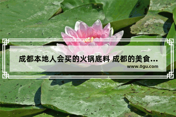 成都本地人会买的火锅底料 成都的美食推荐火锅底料是什么牌子