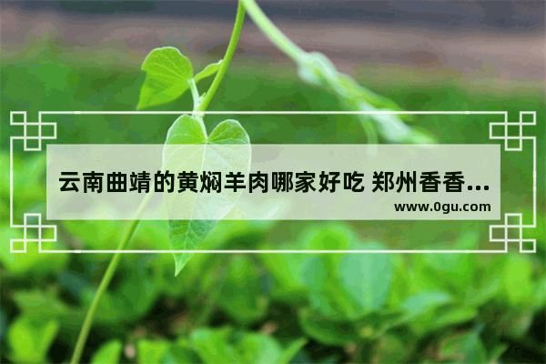 云南曲靖的黄焖羊肉哪家好吃 郑州香香美食推荐的羊排店在哪个位置啊多少钱
