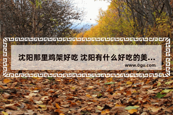 沈阳那里鸡架好吃 沈阳有什么好吃的美食推荐点餐地方吗