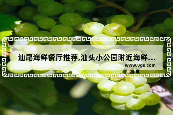 汕尾海鲜餐厅推荐,汕头小公园附近海鲜美食推荐