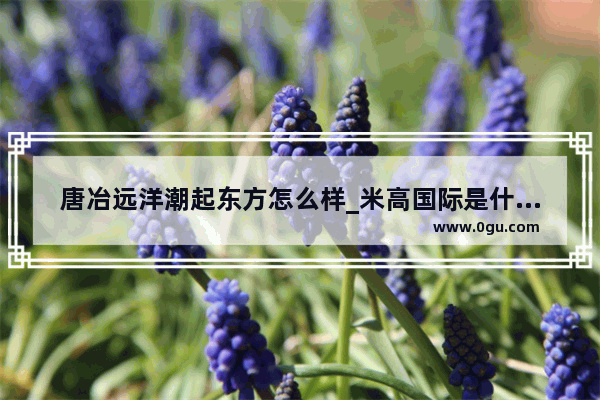 唐冶远洋潮起东方怎么样_米高国际是什么品牌