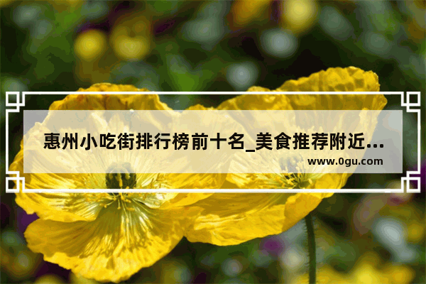 惠州小吃街排行榜前十名_美食推荐附近小吃街有哪些地方好玩一点的店