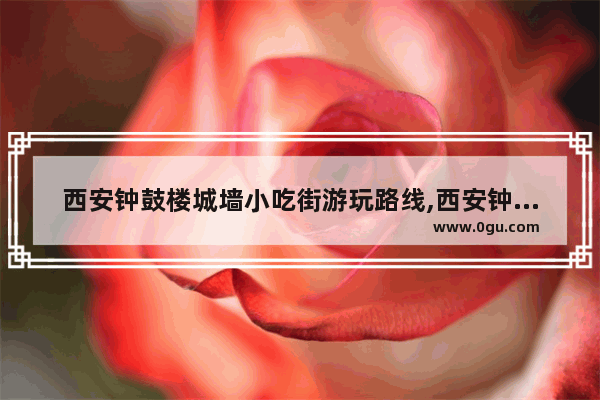 西安钟鼓楼城墙小吃街游玩路线,西安钟楼鼓楼美食推荐店有哪些地方呢