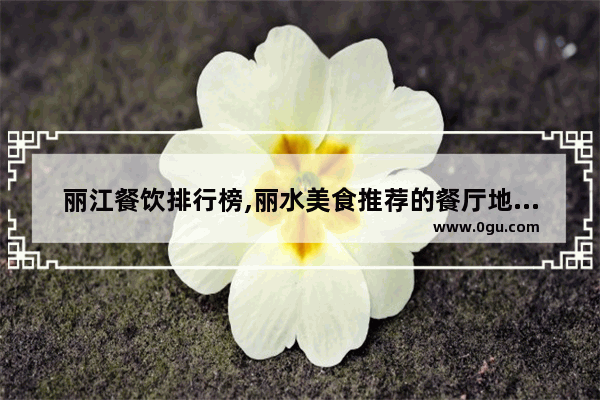 丽江餐饮排行榜,丽水美食推荐的餐厅地址在哪里呀多少钱