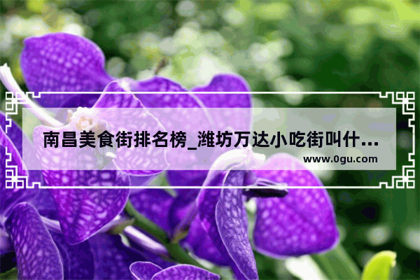南昌美食街排名榜_潍坊万达小吃街叫什么地方