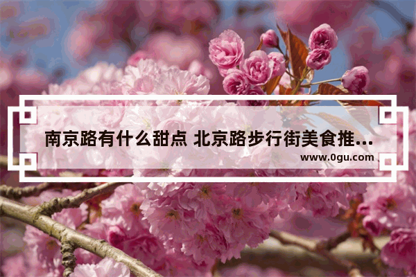 南京路有什么甜点 北京路步行街美食推荐甜点店在哪里