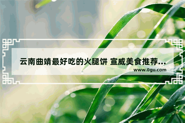 云南曲靖最好吃的火腿饼 宣威美食推荐地方在哪里吃的好