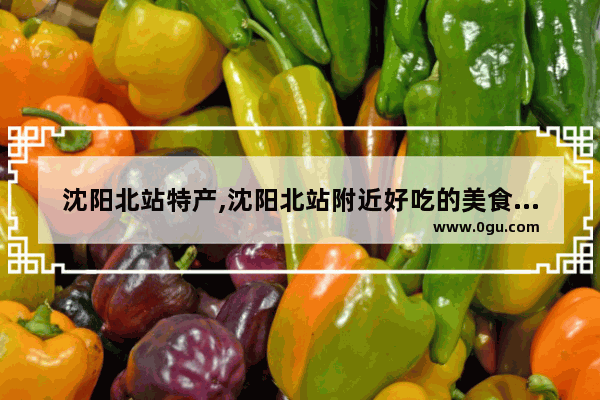 沈阳北站特产,沈阳北站附近好吃的美食推荐店铺有哪些呢