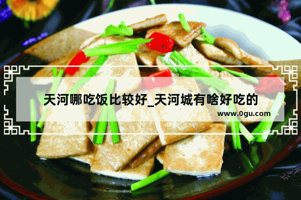 天河哪吃饭比较好_天河城有啥好吃的
