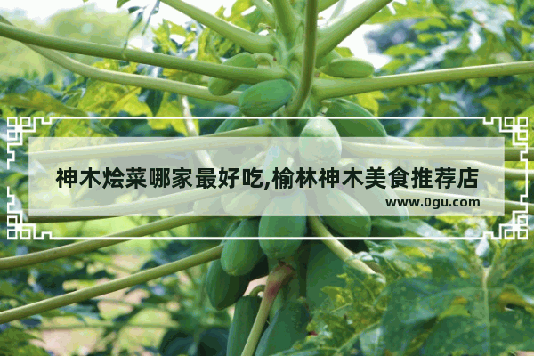 神木烩菜哪家最好吃,榆林神木美食推荐店