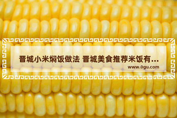 晋城小米焖饭做法 晋城美食推荐米饭有哪些店子好吃