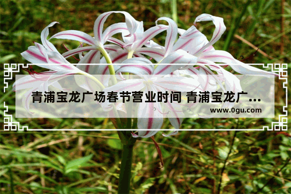 青浦宝龙广场春节营业时间 青浦宝龙广场美食推荐店有哪些餐厅好吃