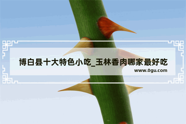 博白县十大特色小吃_玉林香肉哪家最好吃