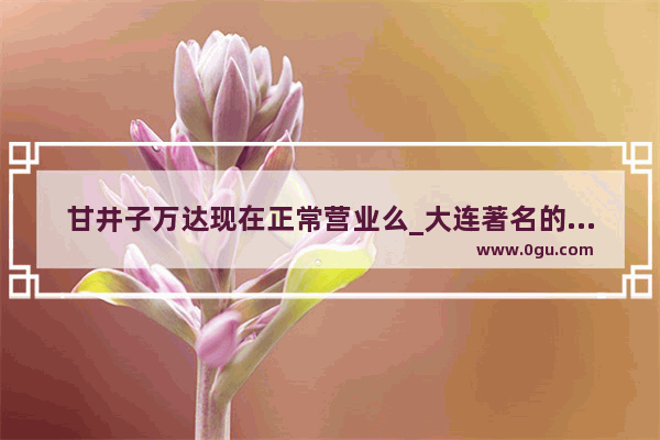 甘井子万达现在正常营业么_大连著名的韩国料理