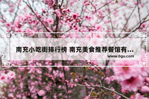 南充小吃街排行榜 南充美食推荐餐馆有哪些地方