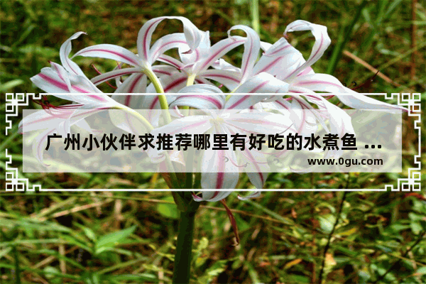 广州小伙伴求推荐哪里有好吃的水煮鱼 广州五羊新城附近美食推荐地方有哪些店
