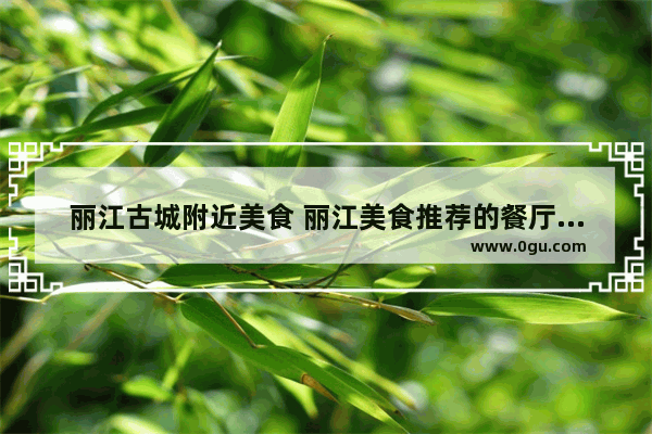 丽江古城附近美食 丽江美食推荐的餐厅地址在哪里啊多少钱一位