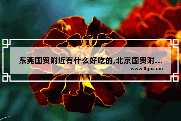 东莞国贸附近有什么好吃的,北京国贸附近美食推荐地方有哪些