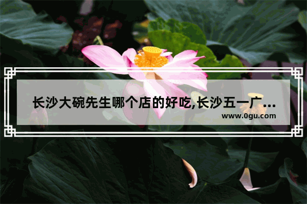 长沙大碗先生哪个店的好吃,长沙五一广场美食推荐餐厅有哪些品牌的菜
