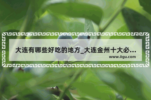 大连有哪些好吃的地方_大连金州十大必吃馆子