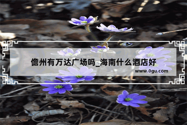 儋州有万达广场吗_海南什么酒店好