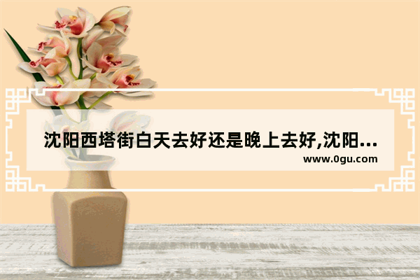 沈阳西塔街白天去好还是晚上去好,沈阳西塔街美食推荐店铺地址在哪里