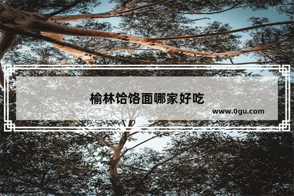 榆林饸饹面哪家好吃