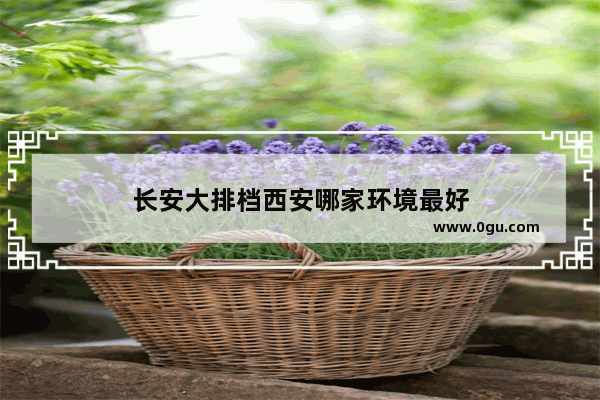 长安大排档西安哪家环境最好