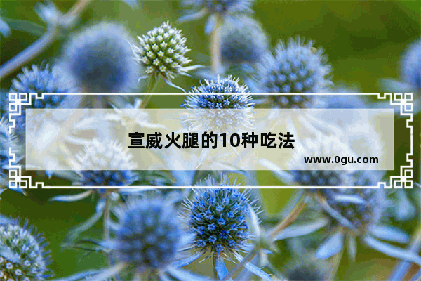 宣威火腿的10种吃法