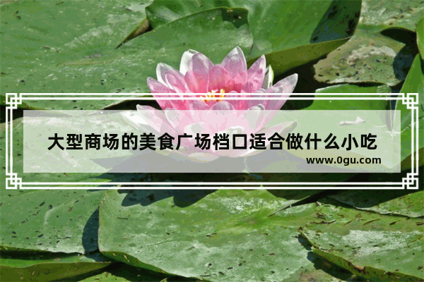 大型商场的美食广场档口适合做什么小吃