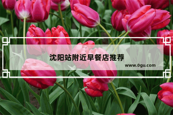 沈阳站附近早餐店推荐