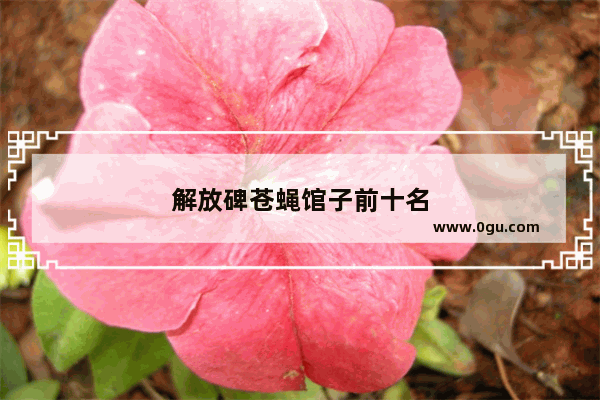 解放碑苍蝇馆子前十名