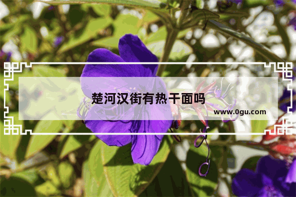 楚河汉街有热干面吗