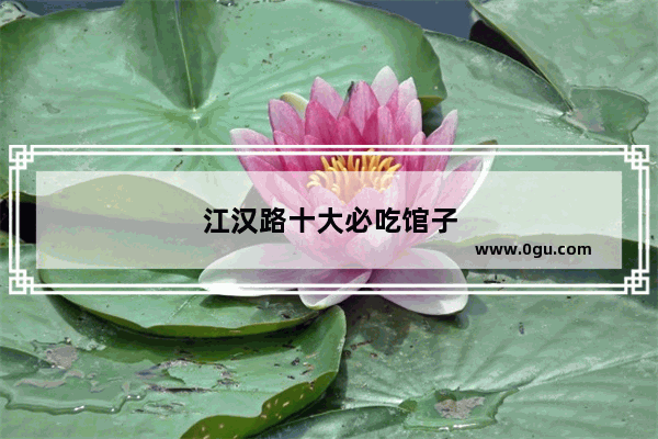 江汉路十大必吃馆子