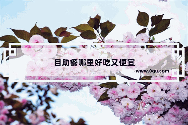 自助餐哪里好吃又便宜