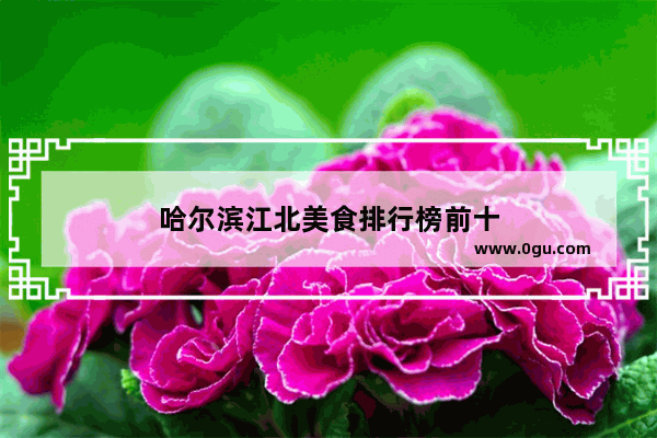 哈尔滨江北美食排行榜前十