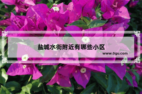 盐城水街附近有哪些小区