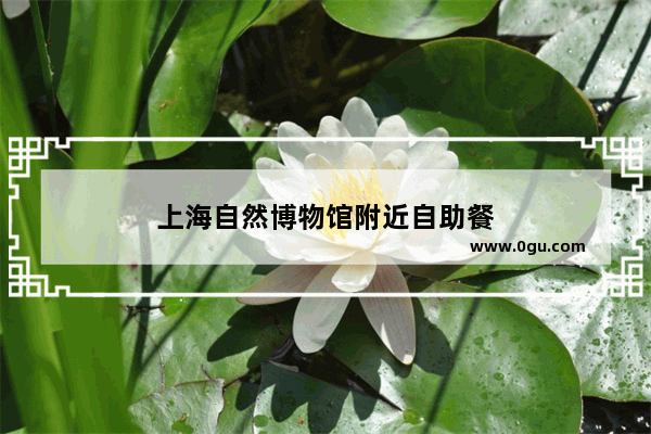 上海自然博物馆附近自助餐