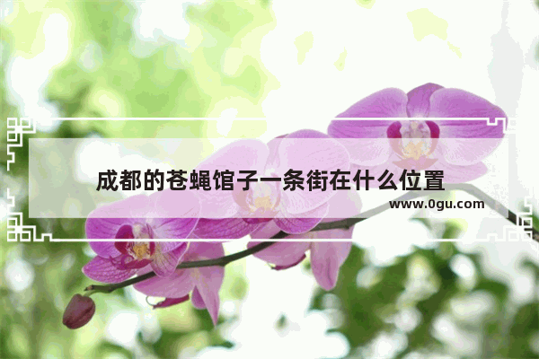 成都的苍蝇馆子一条街在什么位置