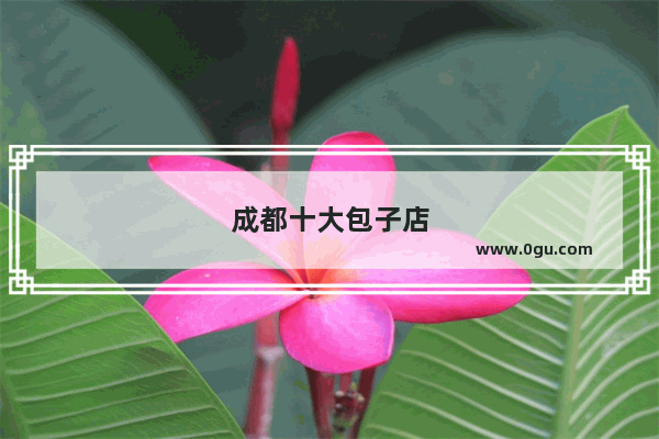 成都十大包子店