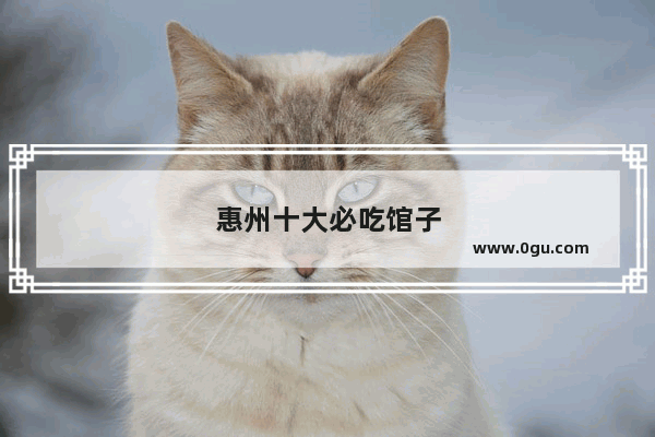 惠州十大必吃馆子