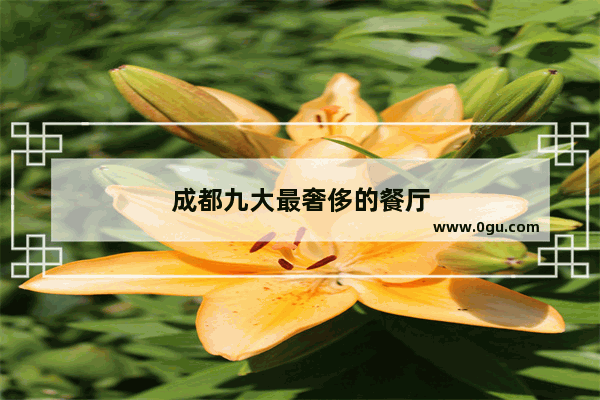 成都九大最奢侈的餐厅