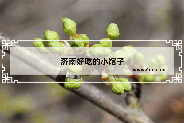 济南好吃的小馆子