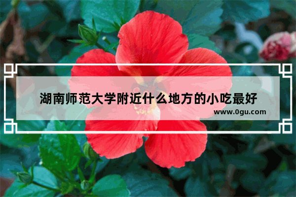 湖南师范大学附近什么地方的小吃最好