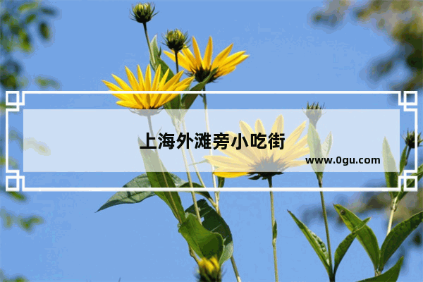 上海外滩旁小吃街