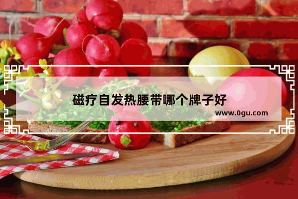磁疗自发热腰带哪个牌子好