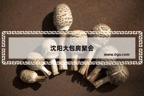 沈阳大包房聚会