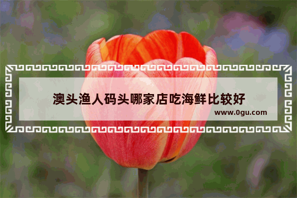澳头渔人码头哪家店吃海鲜比较好