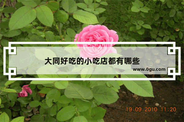 大同好吃的小吃店都有哪些