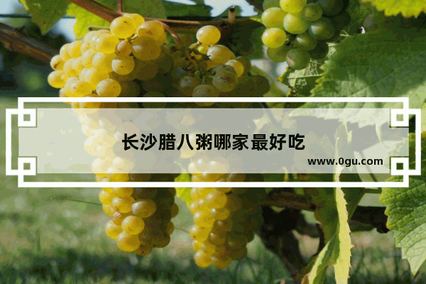 长沙腊八粥哪家最好吃